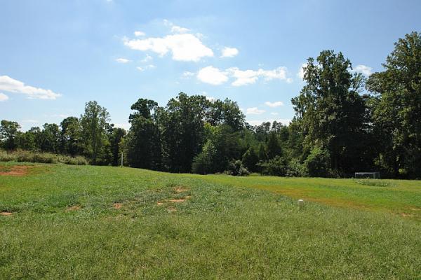 1450 Merriman Way Road Moneta, VA 24121 - Photo 14 of 16 Wonderful Backyard