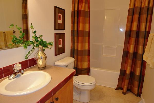 1450 Merriman Way Road Moneta, VA 24121 - Photo 8 of 16 Guest Bath2