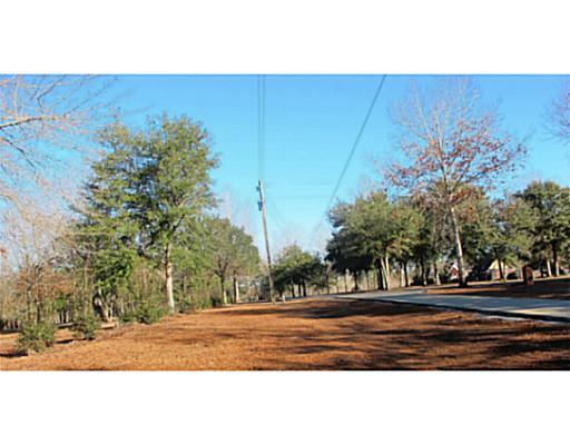 0 East Robert Lee Road Lucedale, MS 39452 - Photo 12 of 20 Additional Photo