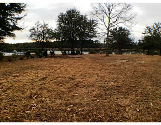 0 East Robert Lee Road Lucedale, MS 39452 - Photo 3 of 20 Additional Photo