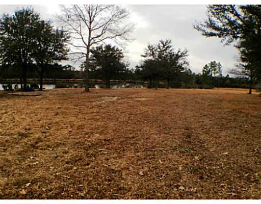 0 East Robert Lee Road Lucedale, MS 39452 - Photo 4 of 20 Additional Photo