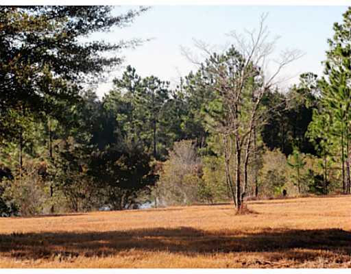 0 East Robert Lee Road Lucedale, MS 39452 - Photo 5 of 20 Additional Photo