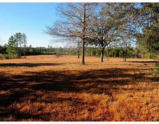 0 East Robert Lee Road Lucedale, MS 39452 - Photo 6 of 20 Additional Photo