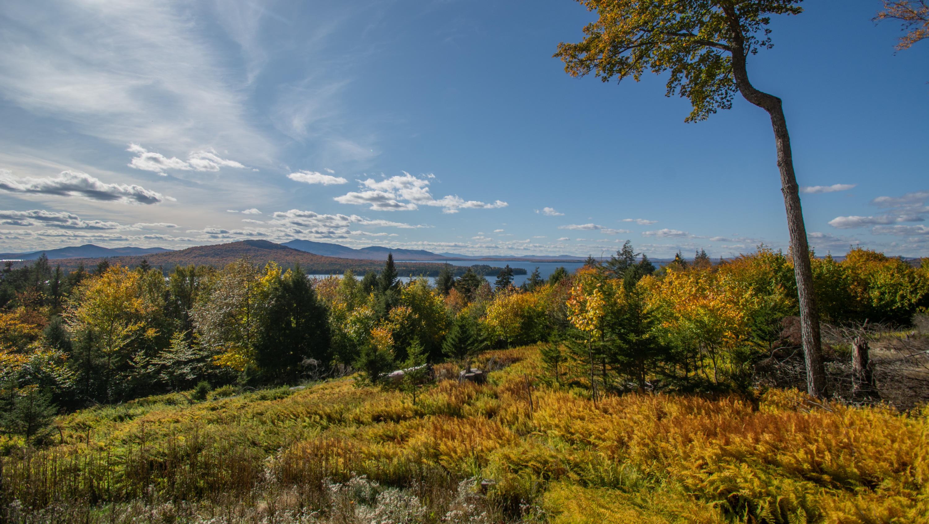 77 Ledge Road Beaver Cove, ME 04441 - Photo 7 of 14 015_9913