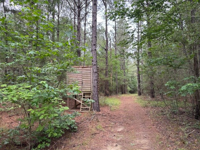 152 Fortenberry Road Tylertown, MS 39667 - Photo 15 of 29 Photo 15