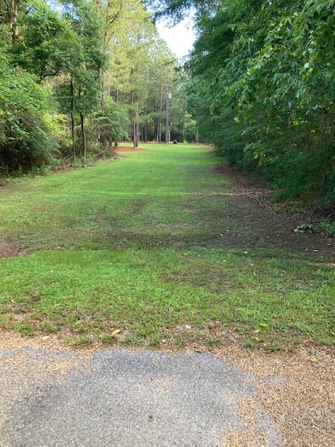 152 Fortenberry Road Tylertown, MS 39667 - Photo 3 of 29 Photo 3