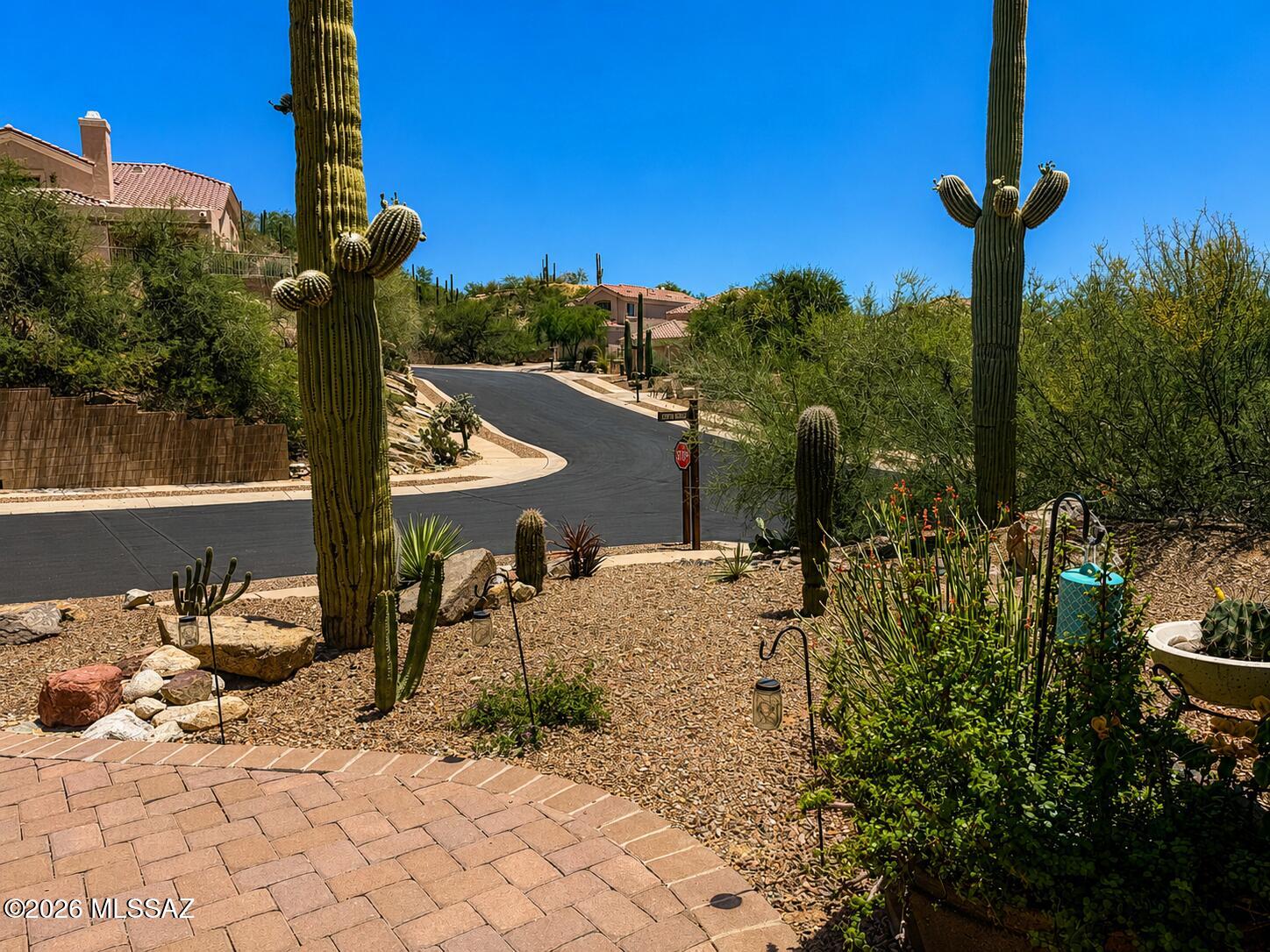 9780 Spring Hill Place Tucson, AZ 85749 - Photo 45 of 49 Front yard looking out