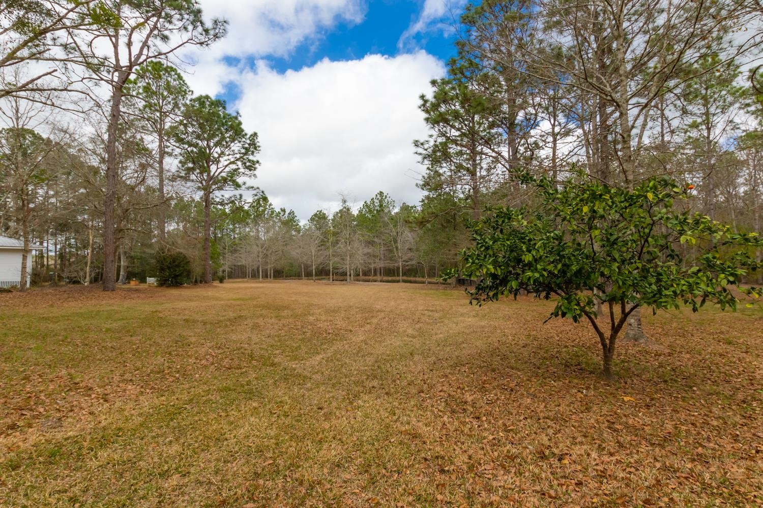 25401 Newport Road Robertsdale, AL 36567 - Photo 43 of 50