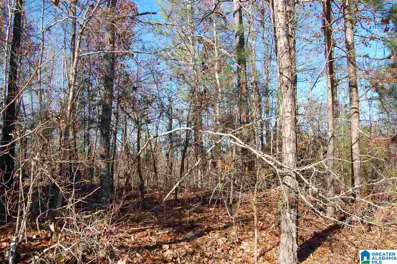 101 County Road, Unit 10 Equality, AL 36026 - Photo 5 of 8