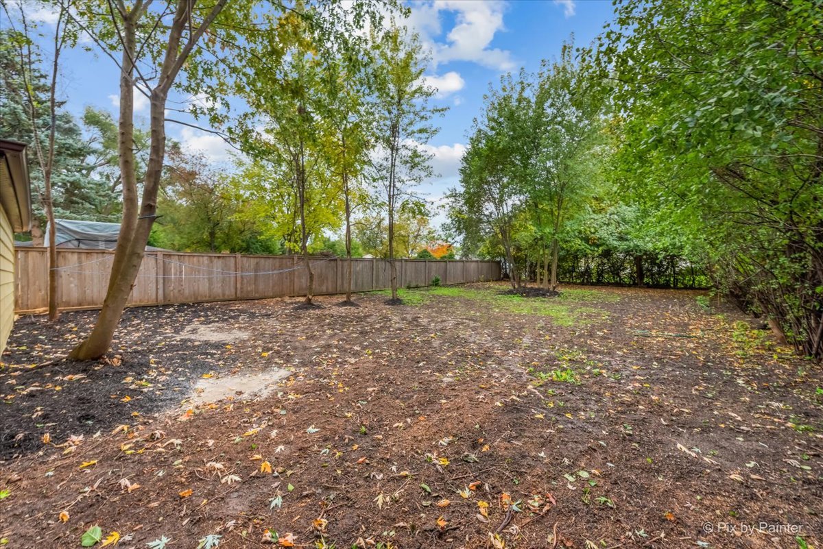 288 North Addison Road Wood Dale, IL 60191 - Photo 23 of 23 a view of backyard with tree