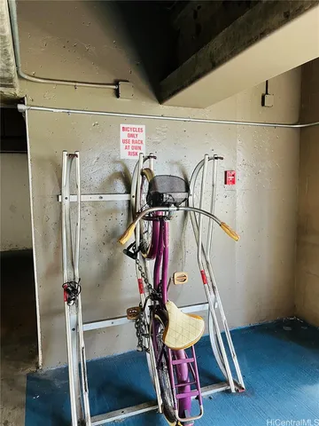 a view of storage and utility room with racks on the wall