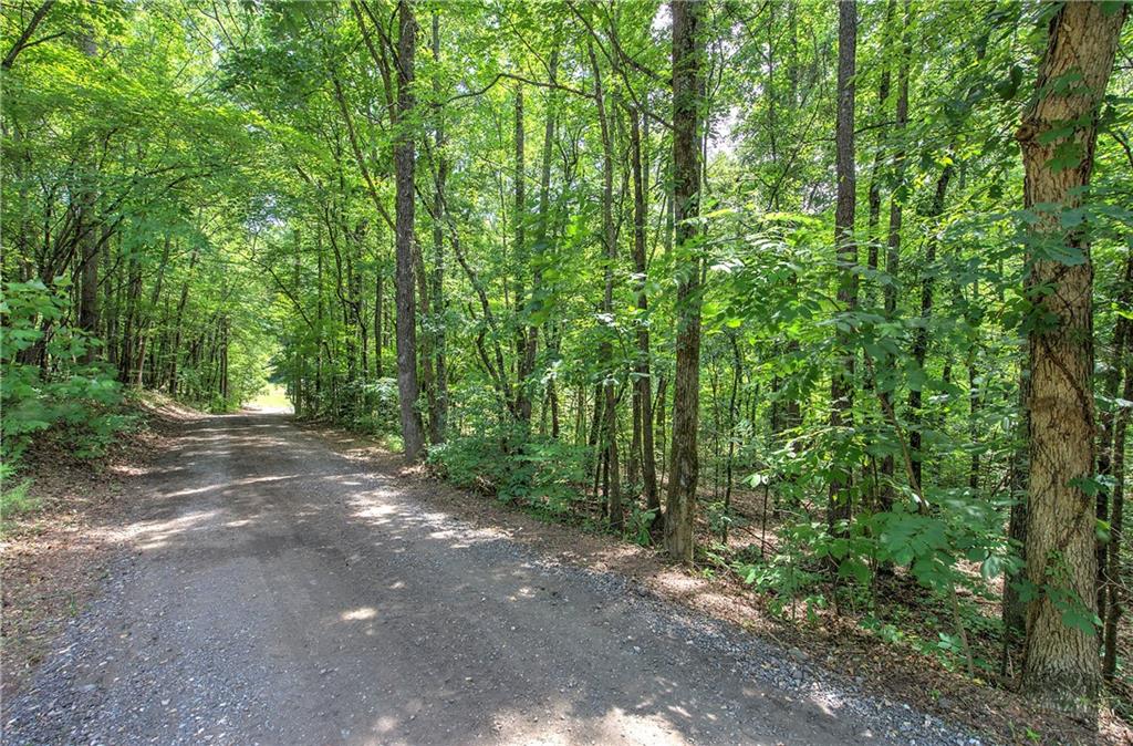 331 Salacoa Road Southeast Fairmount, GA 30139 - Photo 86 of 87