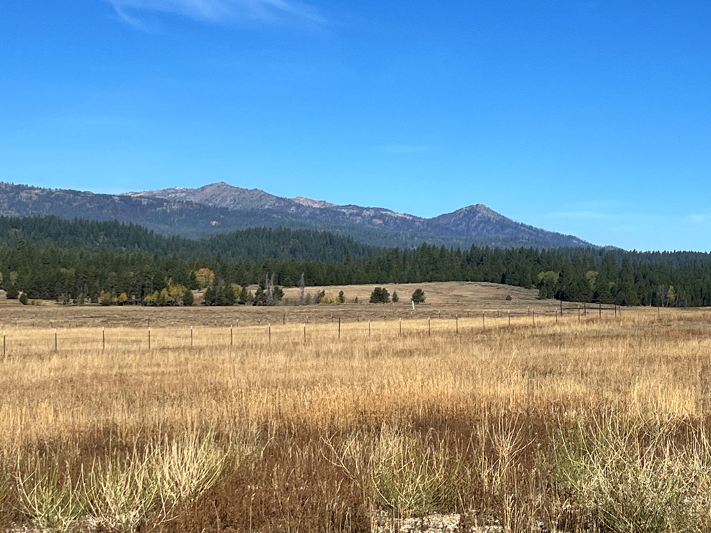 L10 Philadelphia Lane, Unit 10 Cascade, ID 83611 - Photo 5 of 11 Take in Snowbank & Collier View Peaks