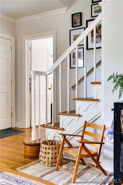 1220 Whitby Road Richmond, VA 23227 - Photo 28 of 44 Gallery Image 28