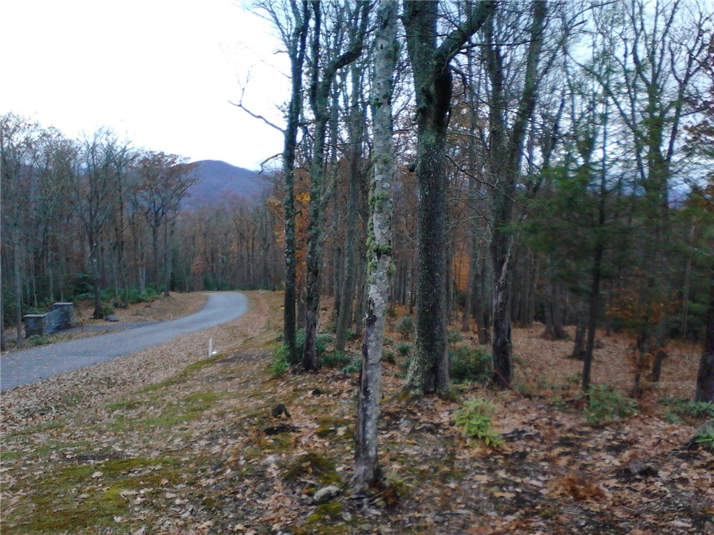 Lot 23 Boulder Cay Road Boone, NC 28607 - Photo 6 of 17 a view of a forest filled with trees