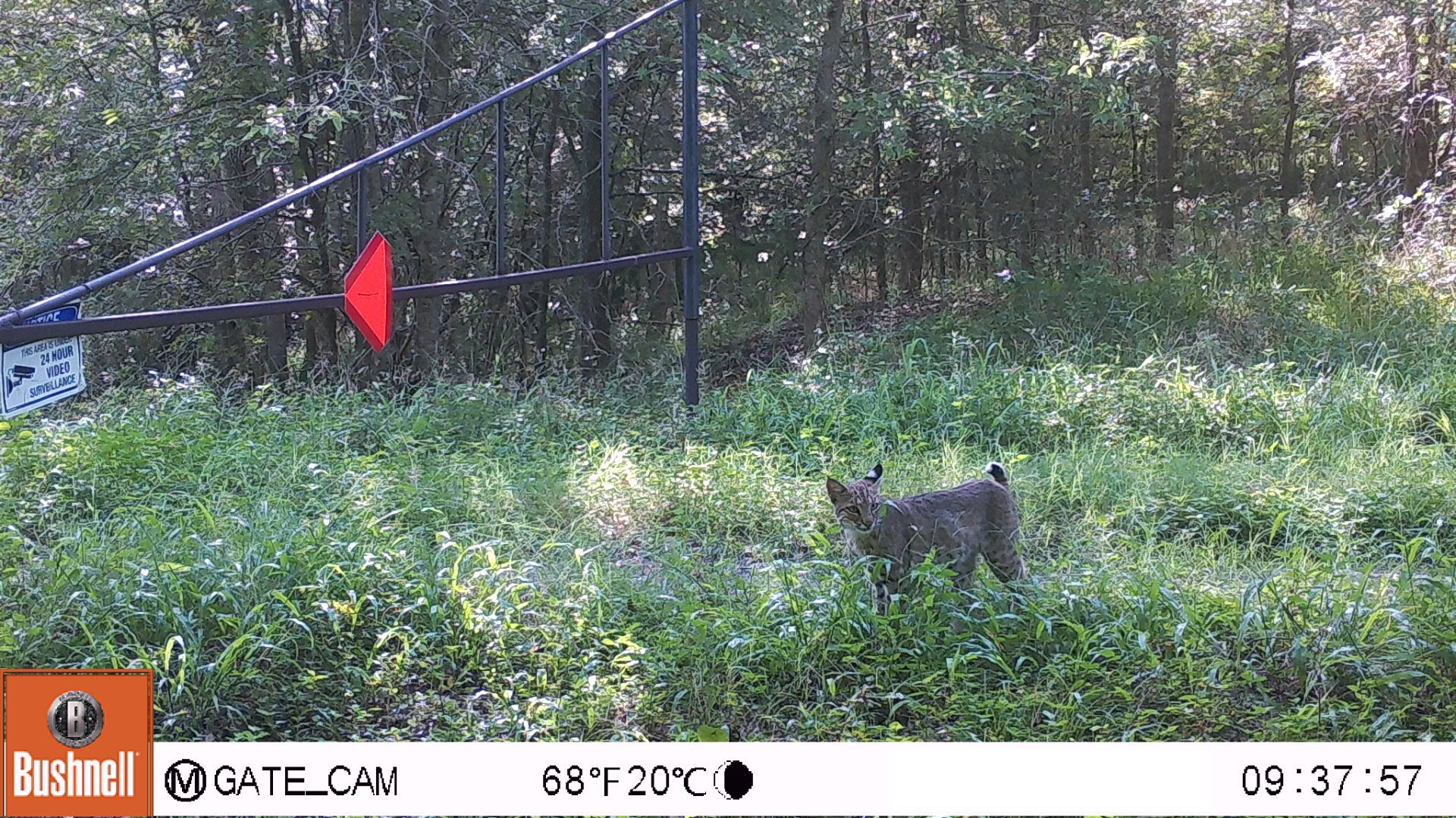 0 County Road 509 Road Damon, TX 77430 - Photo 14 of 18 a backyard of a house with outdoor seating