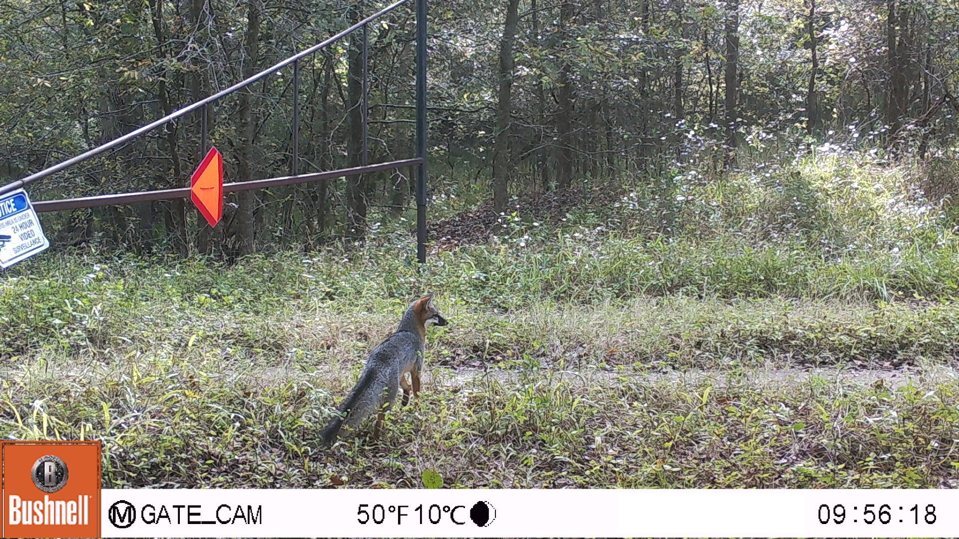 0 County Road 509 Road Damon, TX 77430 - Photo 15 of 18 a backyard of a house with lots of green space