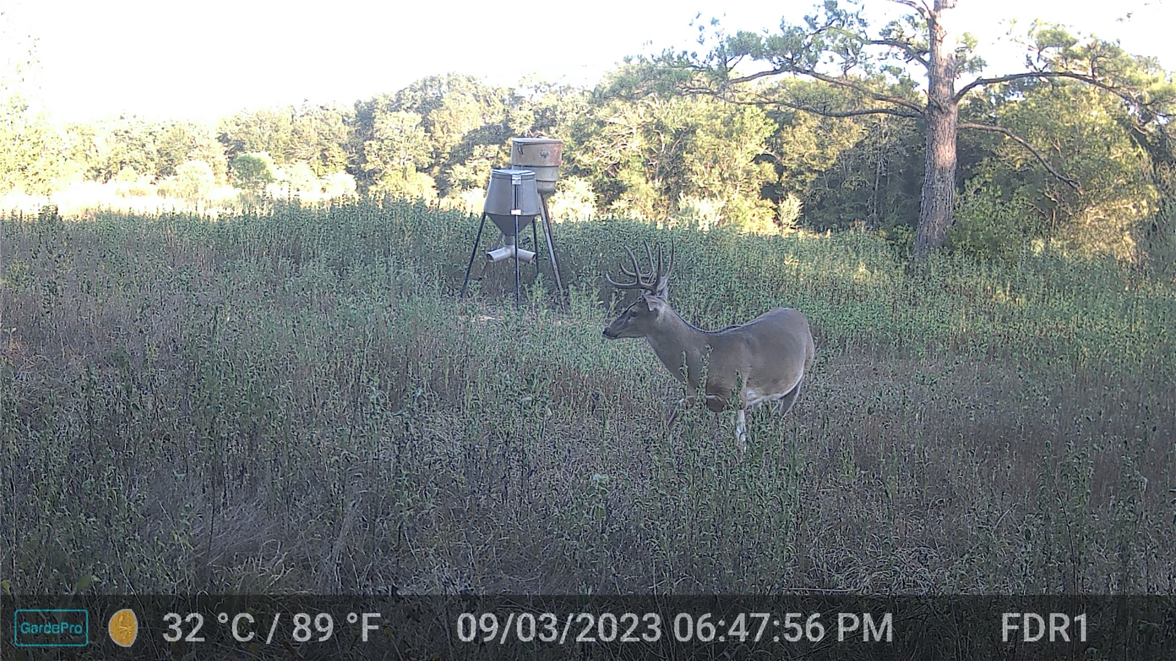 0 County Road 509 Road Damon, TX 77430 - Photo 17 of 18 a view of outdoor space and yard