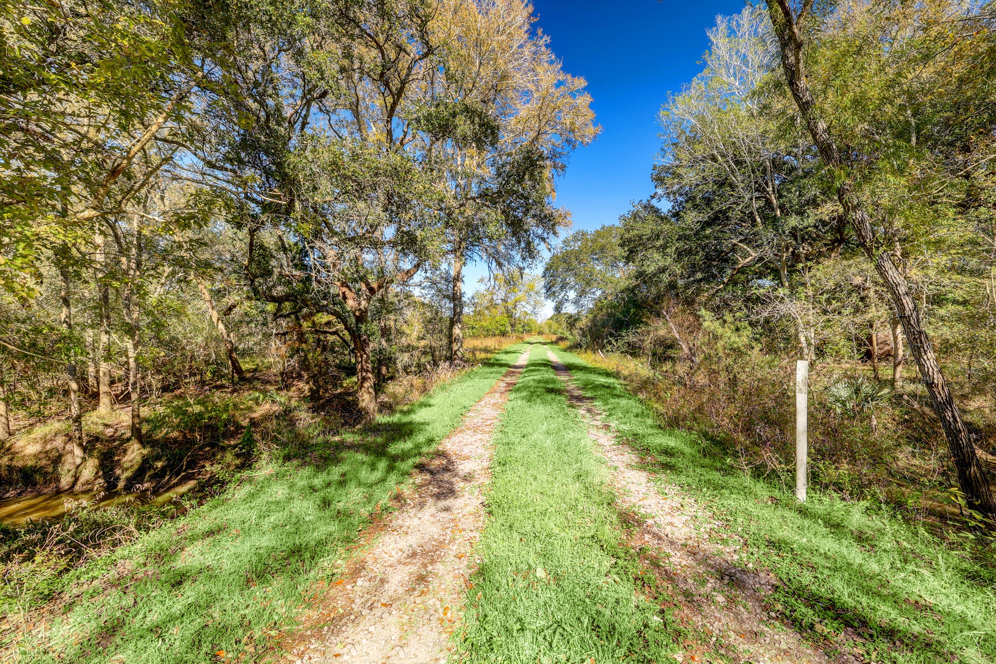0 County Road 509 Road Damon, TX 77430 - Photo 3 of 18 a view of yard with green space