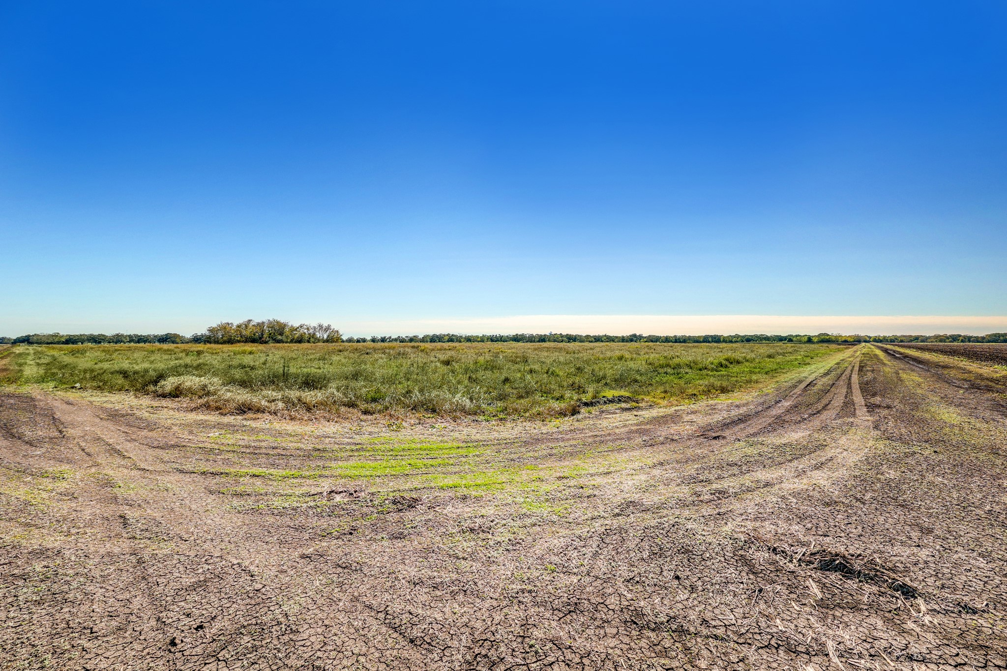 0 County Road 509 Road Damon, TX 77430 - Photo 10 of 18 a view of an ocean and beach