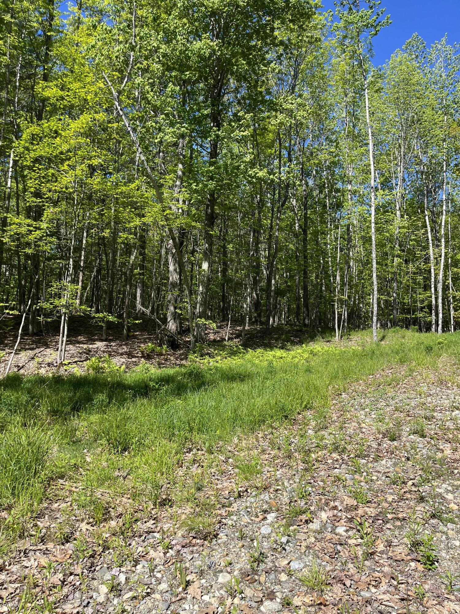 Lot 10 Riverside Road Gardiner, ME 04345 - Photo 3 of 5 IMG_5630
