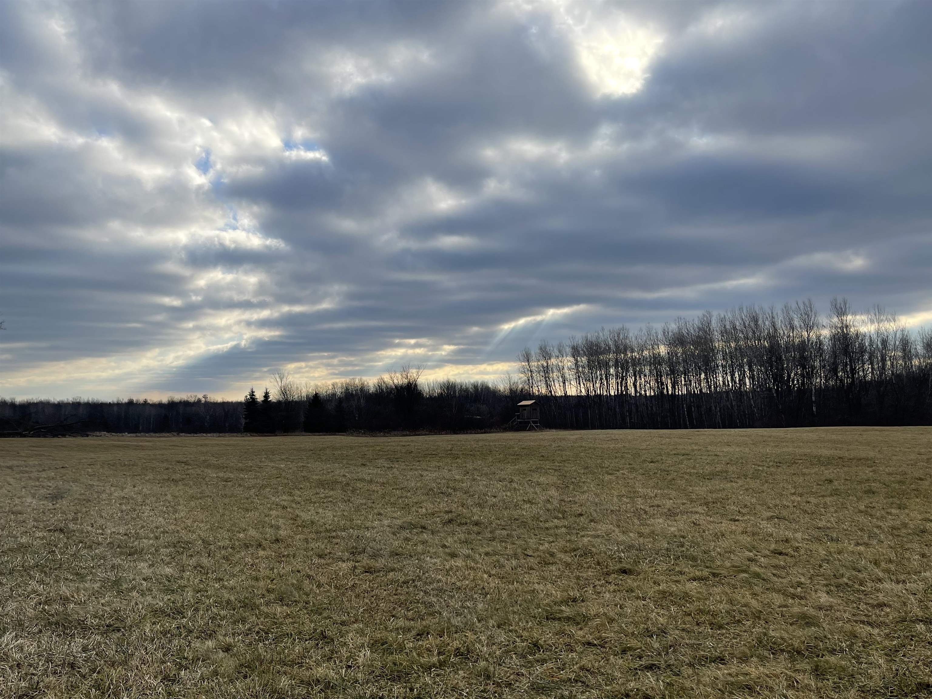 Four 4 Mile Road Evart, MI 49631 - Photo 8 of 38