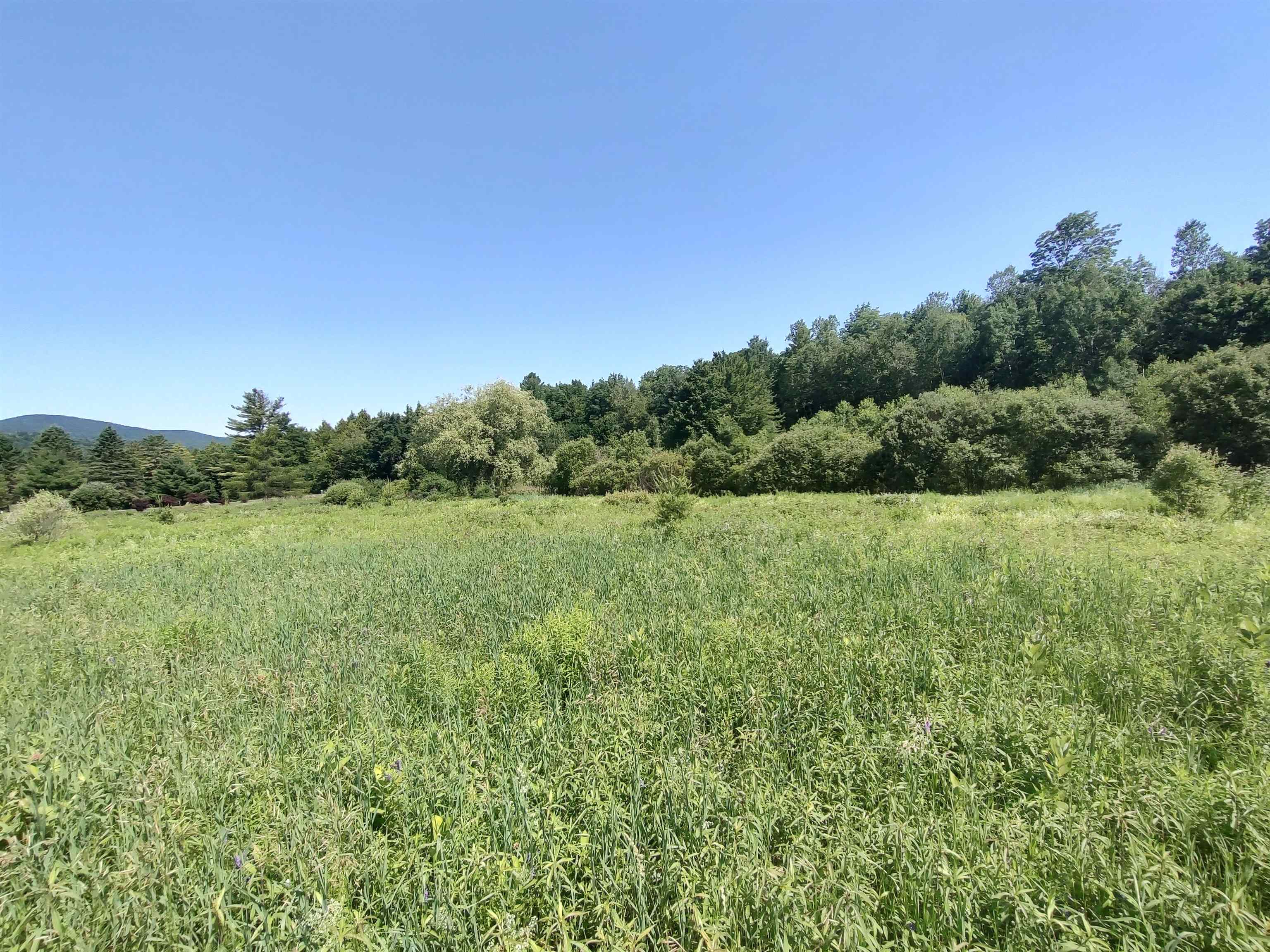 0 Plot Road, Unit 3 Johnson, VT 05656 - Photo 5 of 6