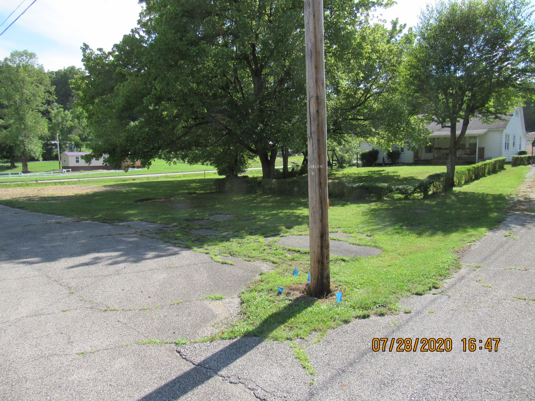 1207 Spring Street Lancing, TN 37770 - Photo 3 of 19 a view of a park