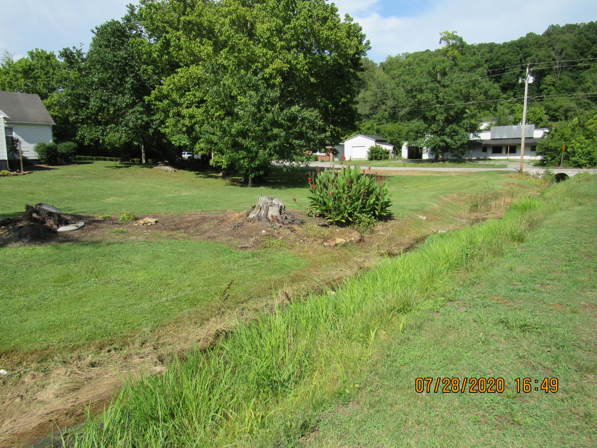 1207 Spring Street Lancing, TN 37770 - Photo 7 of 19 a view of a grassy field with trees