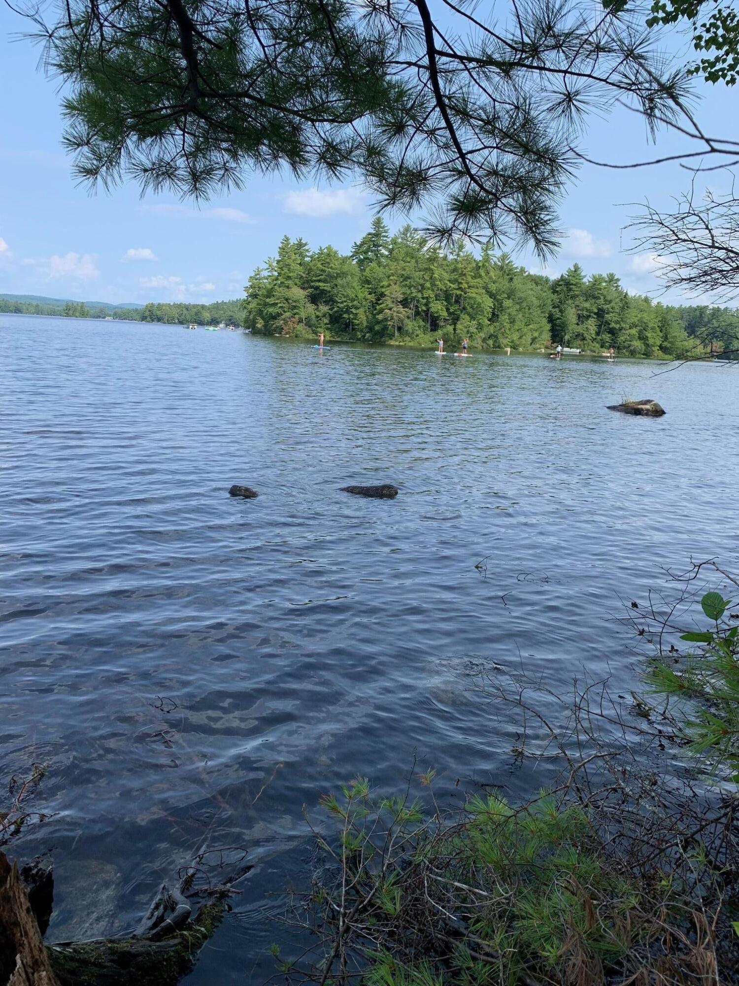 0 Memory Lane Harrison, ME 04040 - Photo 6 of 12 IMG_2857 (002)