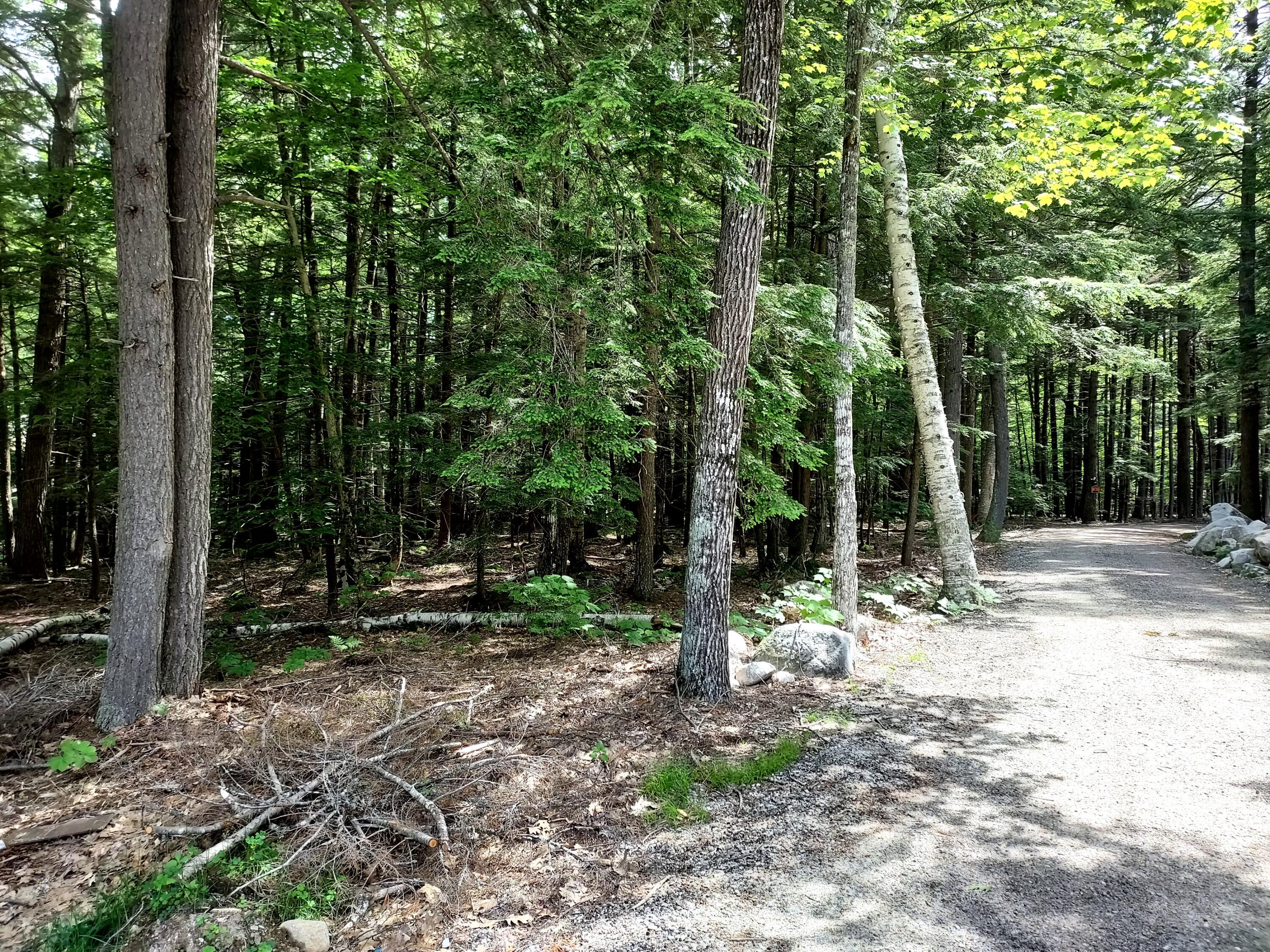 0 Memory Lane Harrison, ME 04040 - Photo 9 of 12 20230623_103020