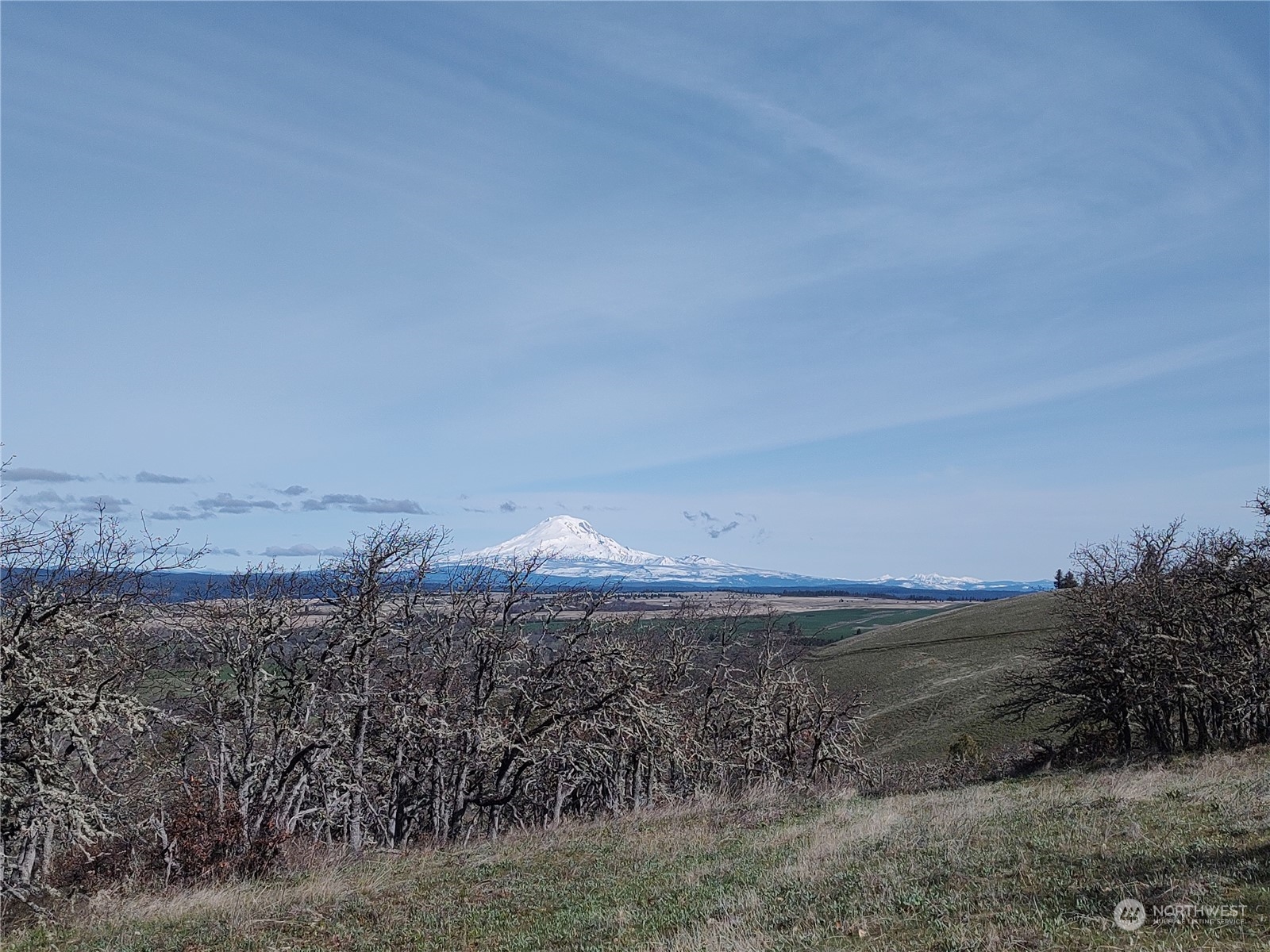 0 Stacker Butte Road Lyle, WA 98635 - Photo 1 of 13 Gallery Image 1