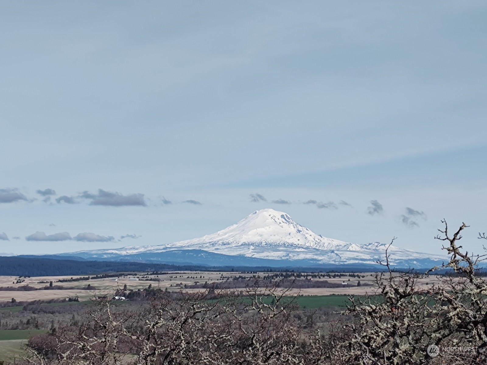 0 Stacker Butte Road Lyle, WA 98635 - Photo 6 of 13 Gallery Image 6