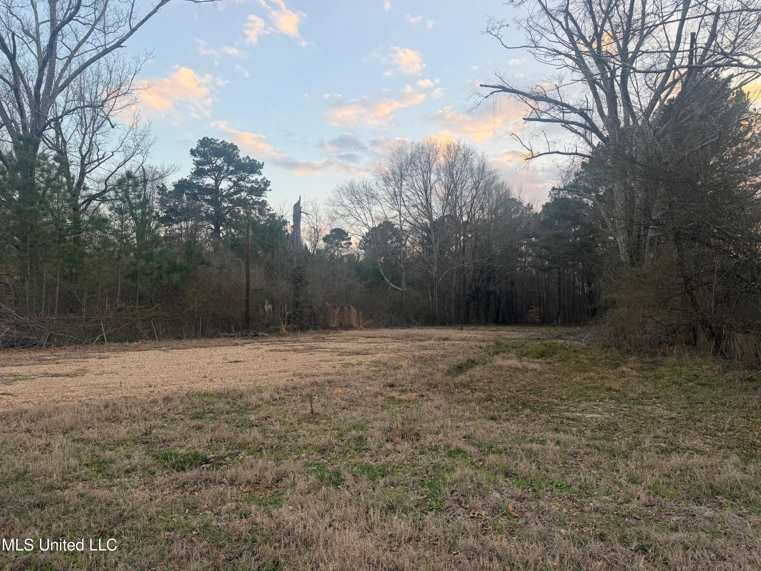 3193 US 49 Florence, MS 39073 - Photo 2 of 3 IMG_1526