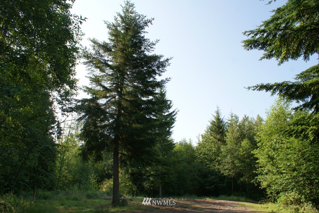 1861 H Street Road Blaine, WA 98230 - Photo 1 of 15 Gallery Image 1