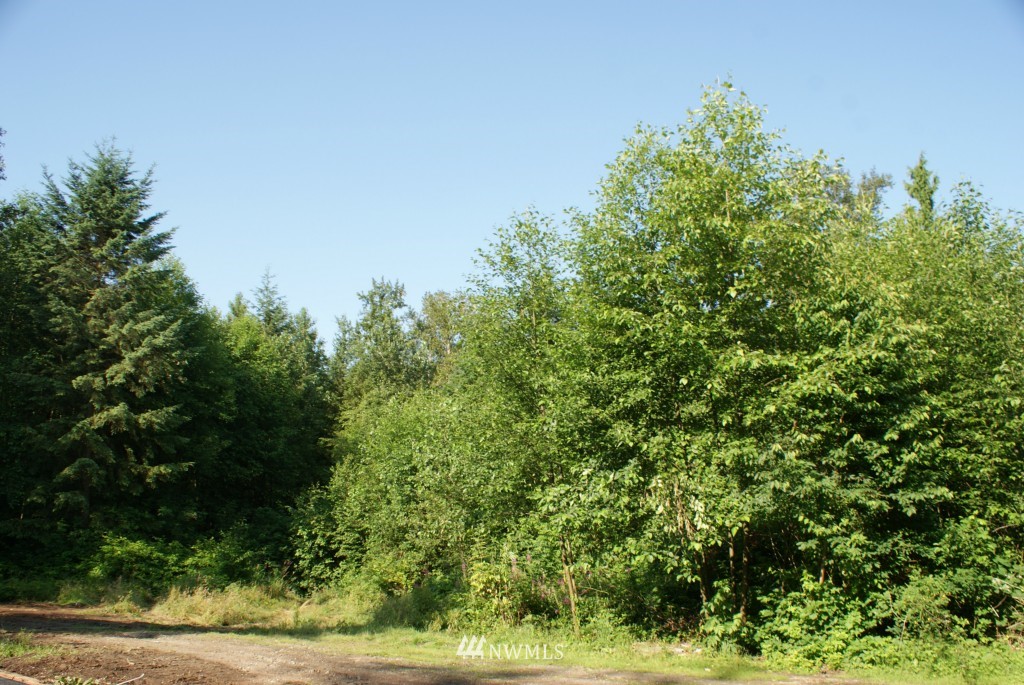 1861 H Street Road Blaine, WA 98230 - Photo 11 of 15 Gallery Image 11