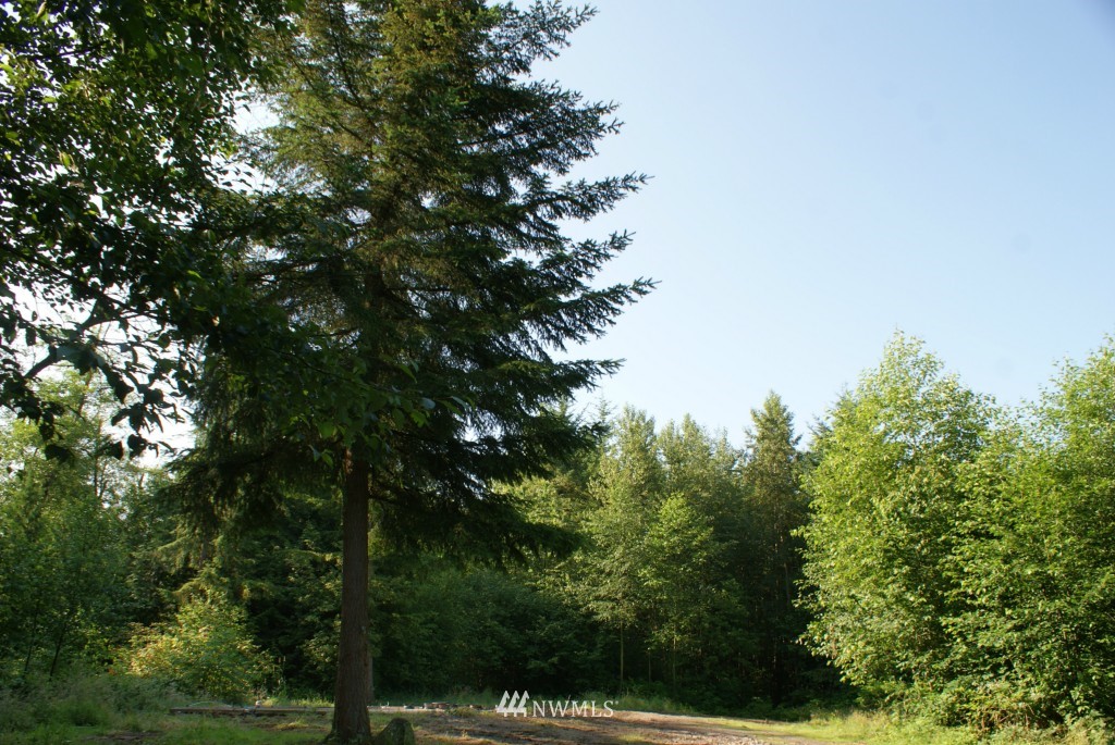 1861 H Street Road Blaine, WA 98230 - Photo 15 of 15 Gallery Image 15