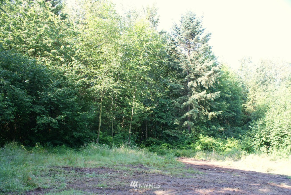 1861 H Street Road Blaine, WA 98230 - Photo 4 of 15 Gallery Image 4