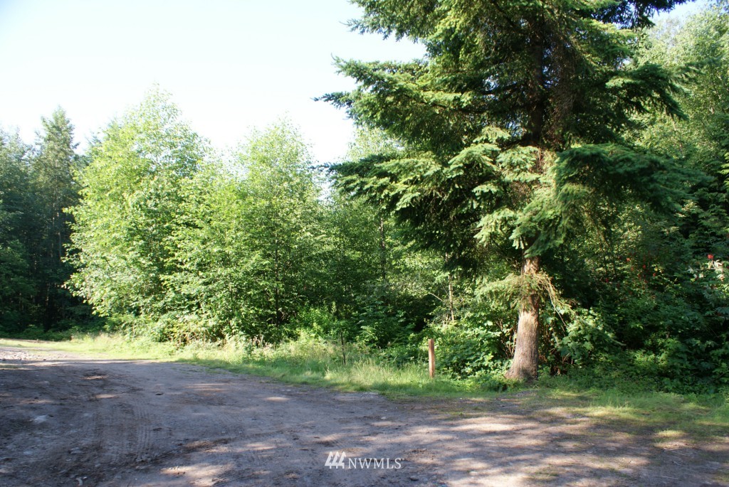 1861 H Street Road Blaine, WA 98230 - Photo 7 of 15 Gallery Image 7