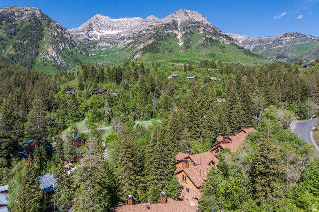 8841 North Alpine Loop Road, Unit 3 Provo, UT 84604 - Photo 74 of 78