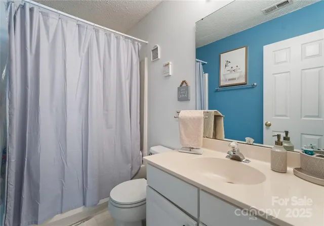 a bathroom with a sink a toilet and shower curtain