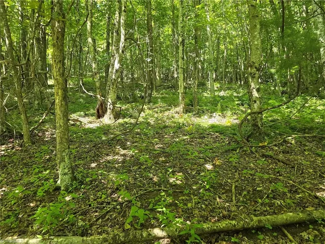 $48,000 | 66 White Tail Trail, West Jefferson, NC 28694