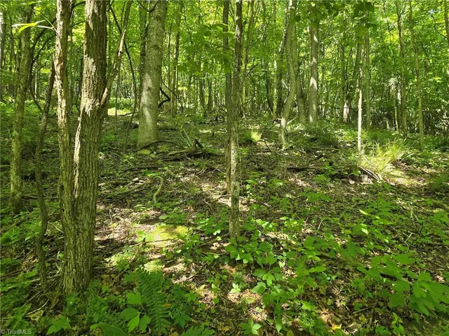 $48,000 | 66 White Tail Trail, West Jefferson, NC 28694