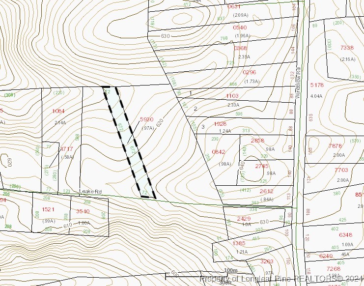 0 Leake Road Jackson Springs, NC 27281 - Photo 2 of 3