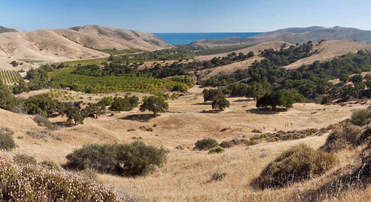 a view of a backyard of a house