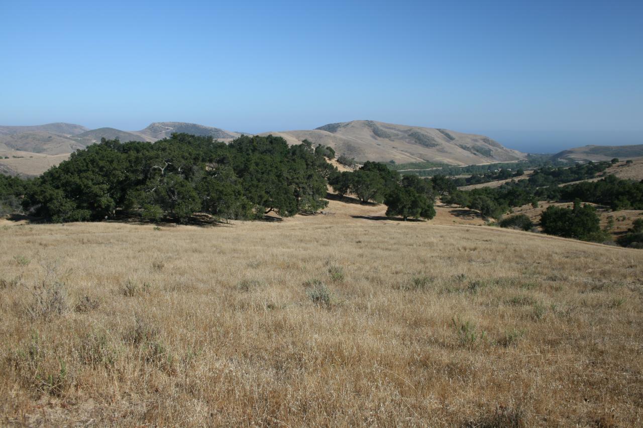 1100 Refugio Road Goleta, CA 93117 - Photo 12 of 28 a view of a dry yard
