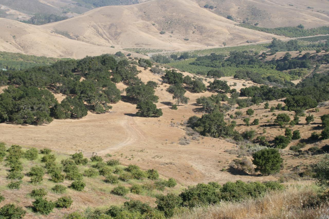 1100 Refugio Road Goleta, CA 93117 - Photo 13 of 28 a view of a yard with a yard