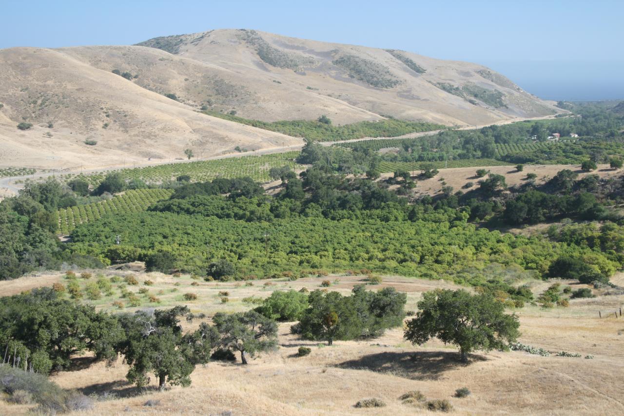 1100 Refugio Road Goleta, CA 93117 - Photo 14 of 28 an aerial view of a house with a yard