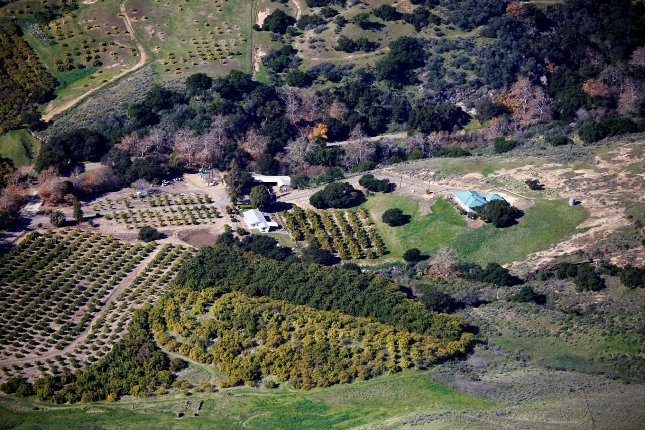 1100 Refugio Road Goleta, CA 93117 - Photo 19 of 28 a view of a garden with an outdoor space