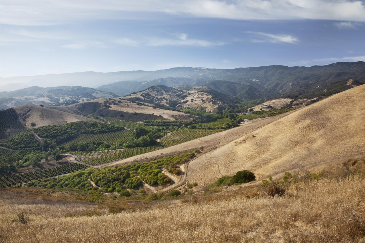 1100 Refugio Road Goleta, CA 93117 - Photo 2 of 28 a view of a mountain with a forest
